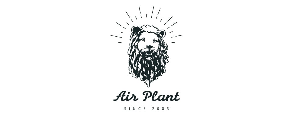 AIR PLANT