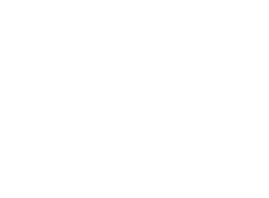 MR.SMITH