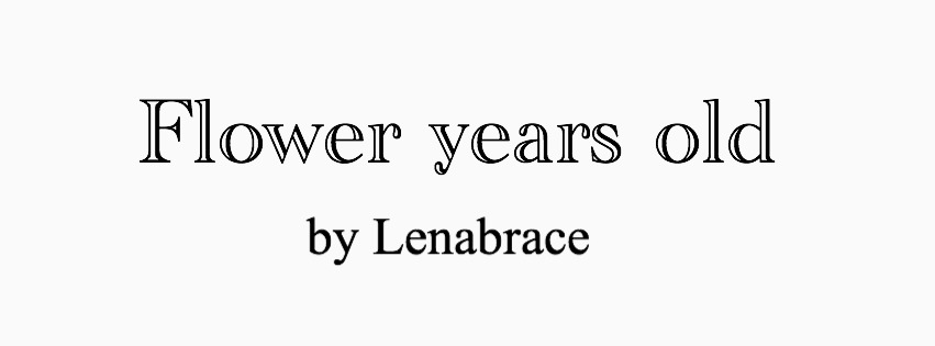 Lenabrace webstore 