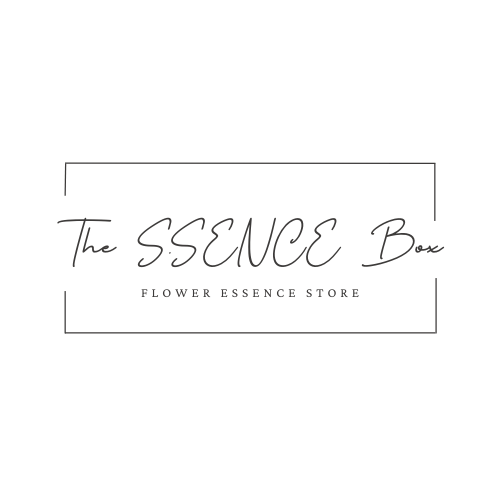 ALL ITEM | The S.SENCE Box