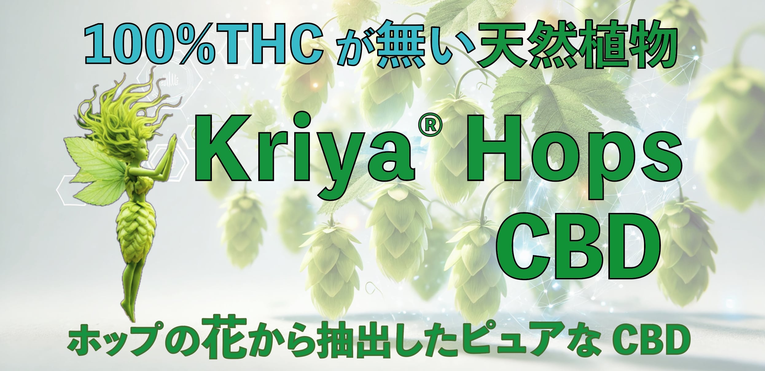 ホップCBD PHYTO  Shop
