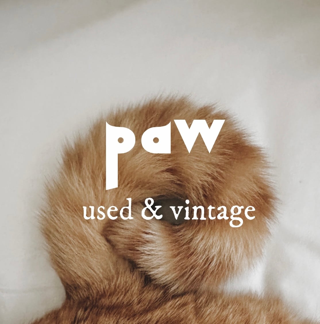paw used&vintage