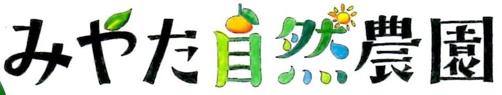 みやた自然農園|農薬不使用の温州みかん