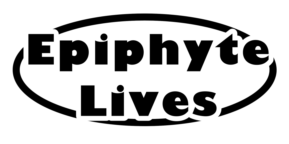Epiphyte Lives | 着生板 ハンギングボード