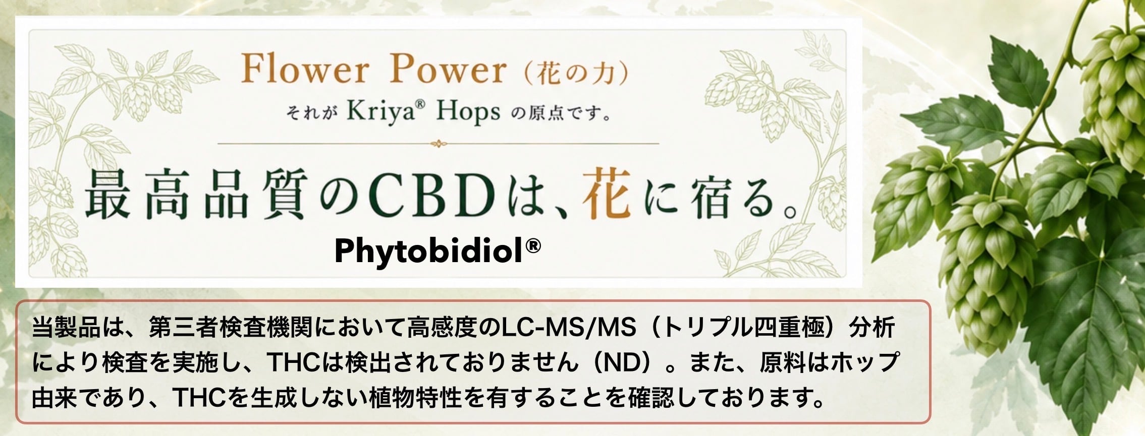 ホップCBD PHYTO Shop