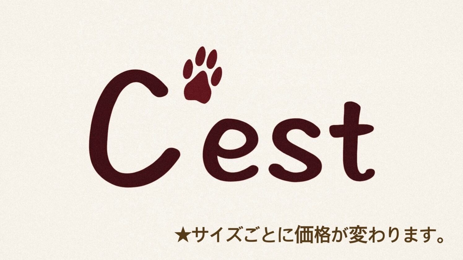 C'est チェスト