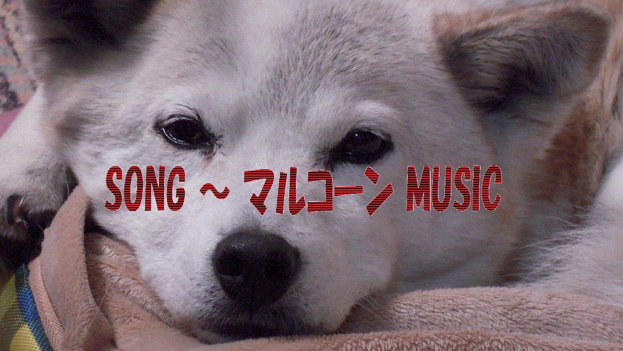 SONG ～ マルコーン MUSIC　