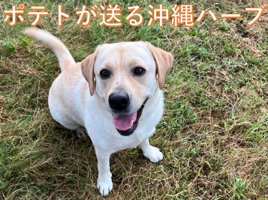 東江さん