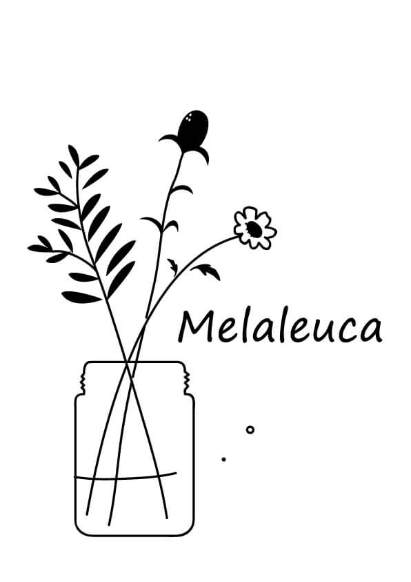 melaleuca