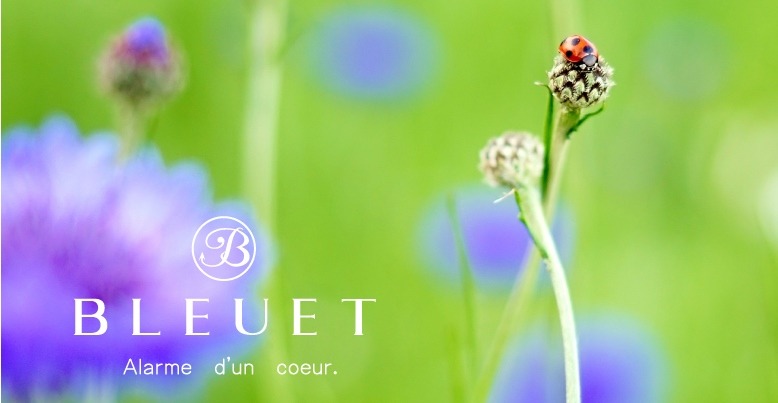 BLEUET