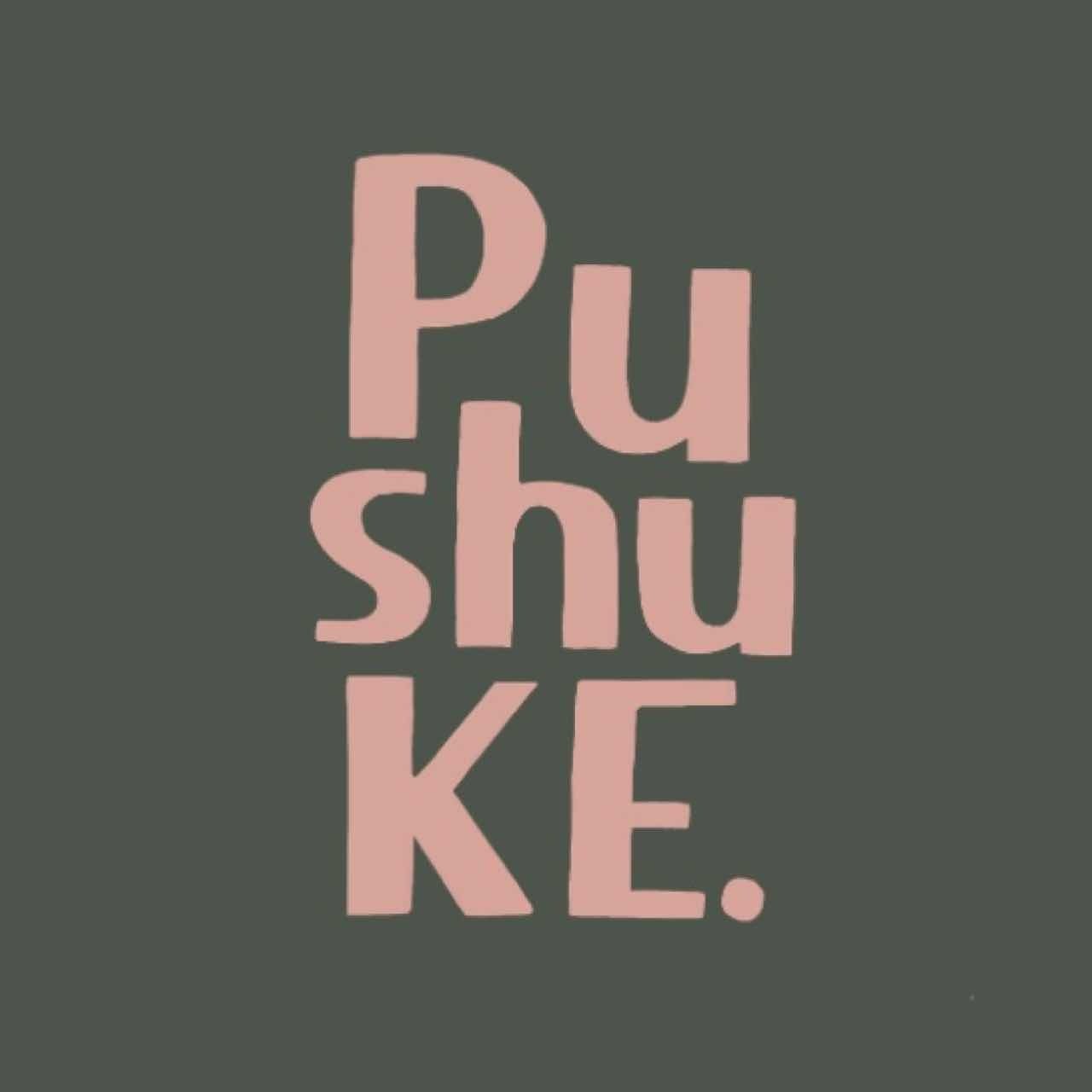 雑貨店 Pushuke.