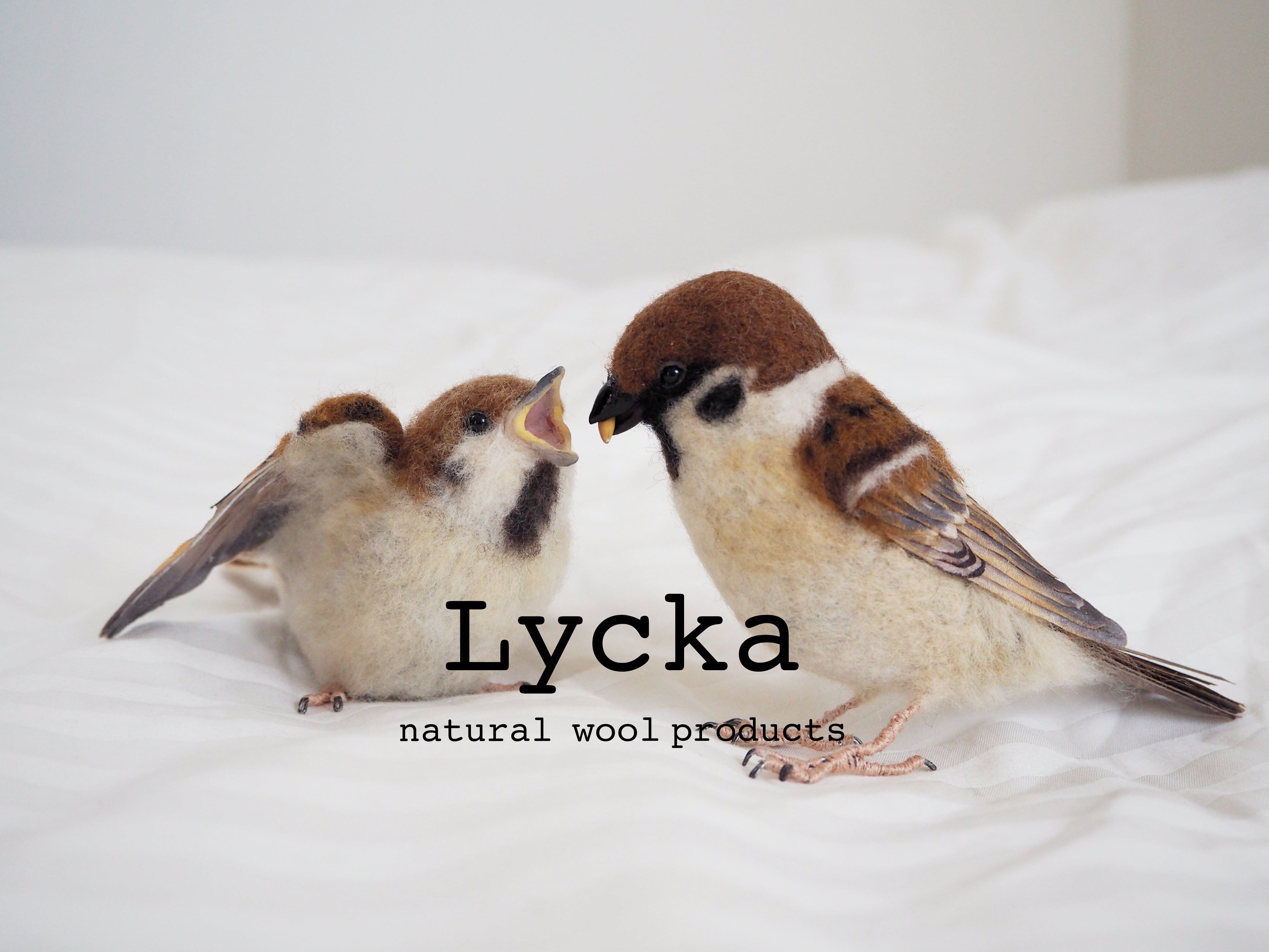Lycka