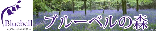 ブルーベルの森 英国のカード カレンダー マグカップ等の輸入販売