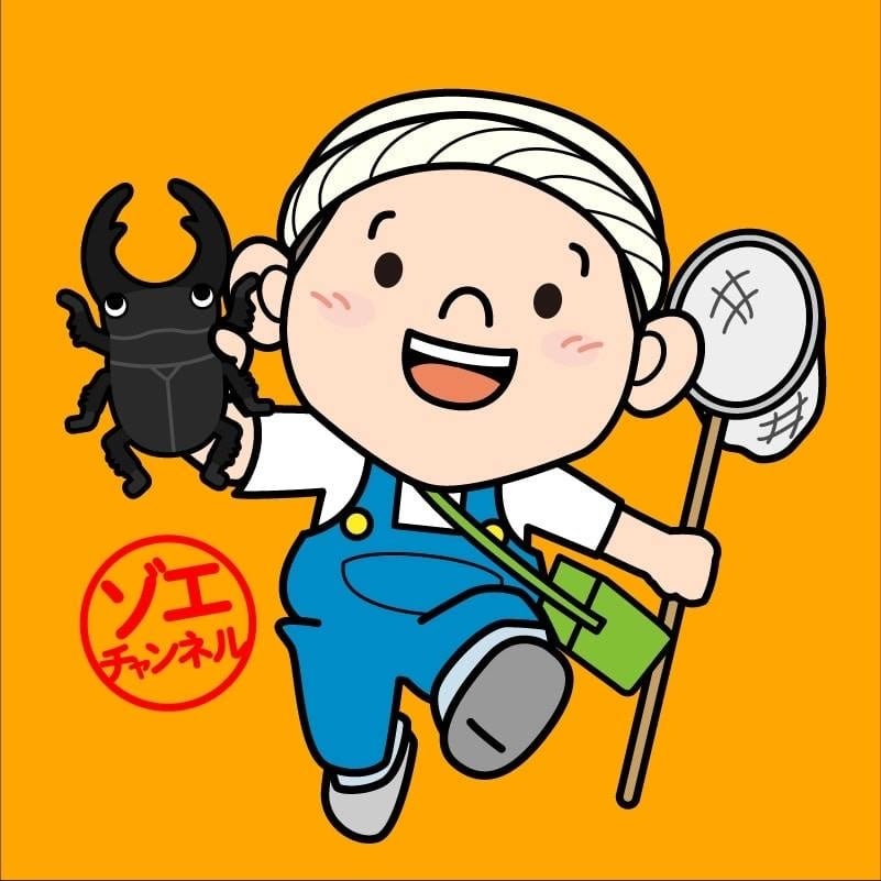 ゾエチャンネル