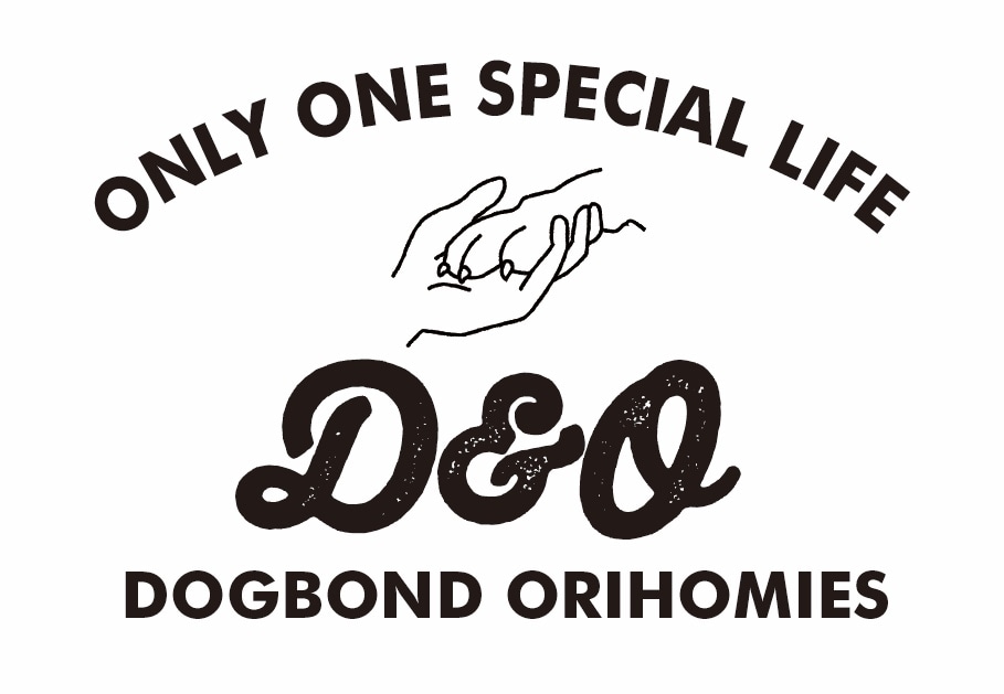 D&O