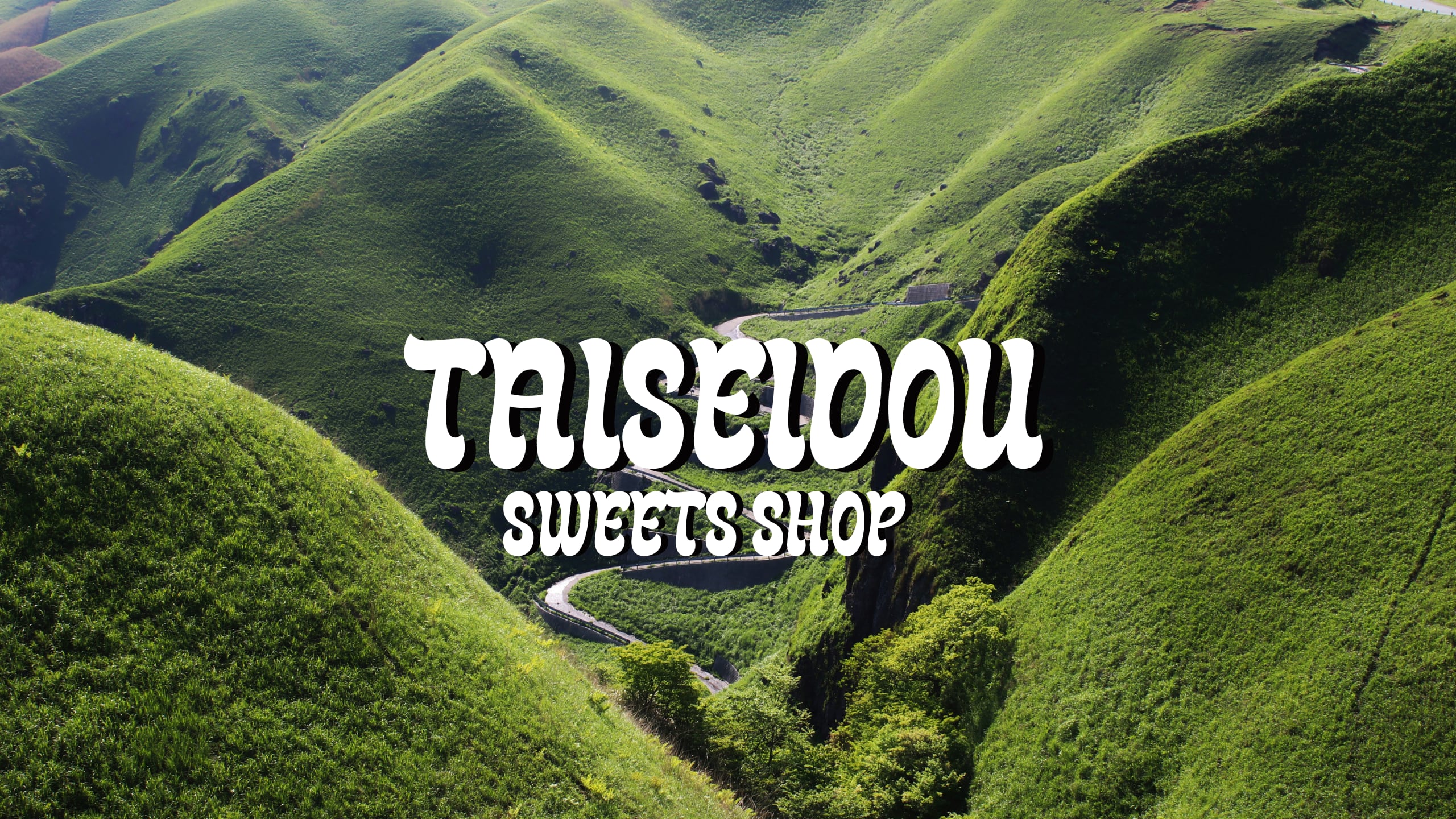 TAISEIDOU