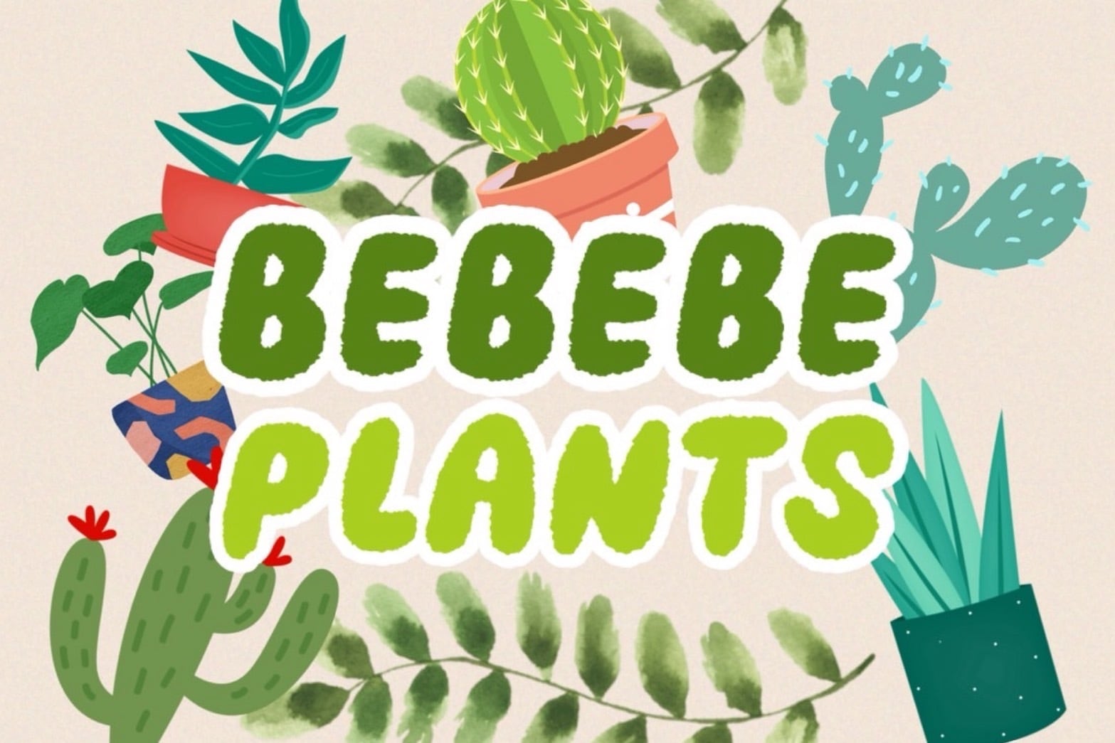 bebebeplants