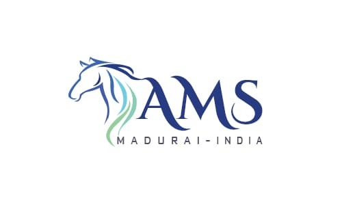 南インドの小さなお店 AMS 