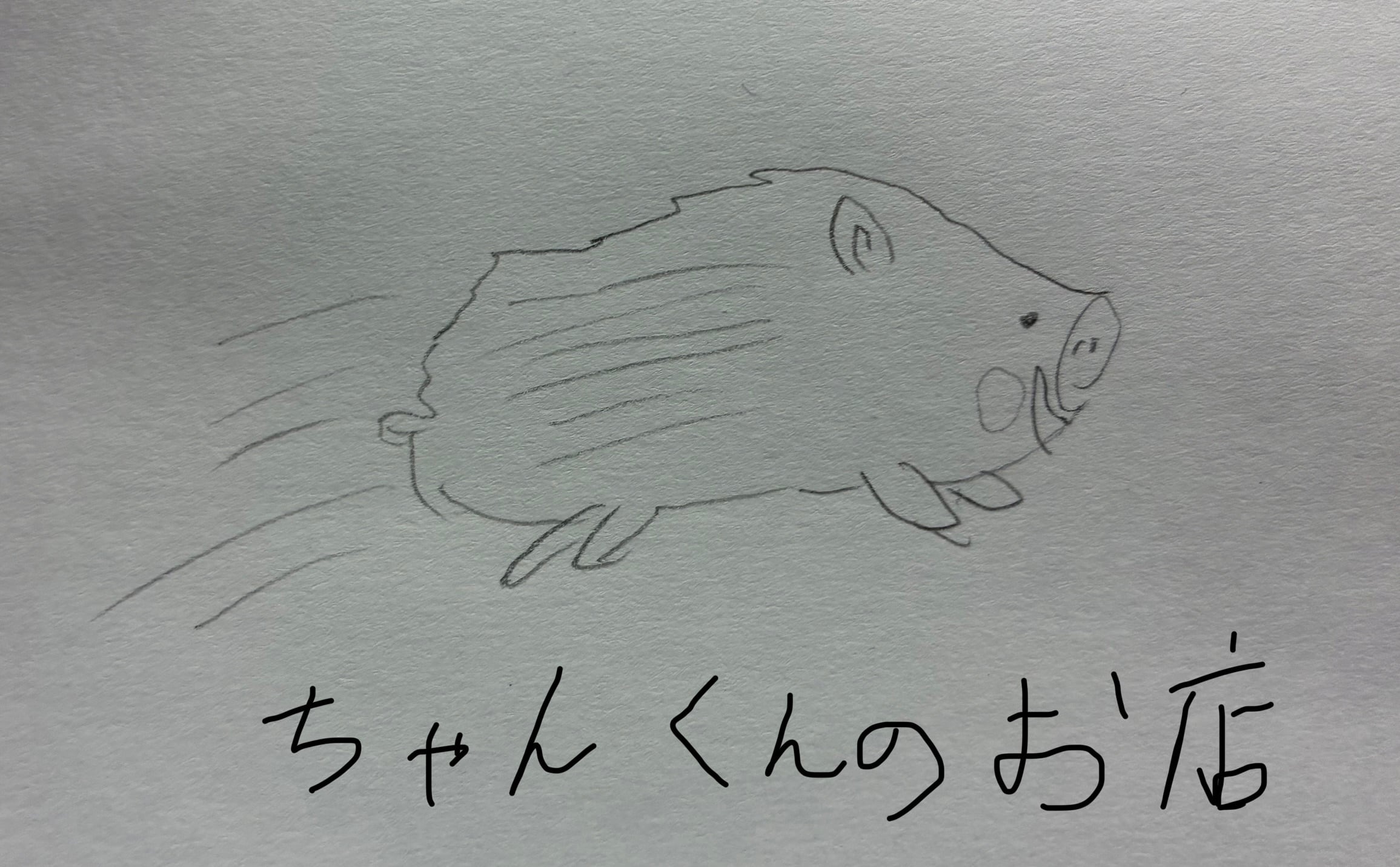 ちゃんくんのお店