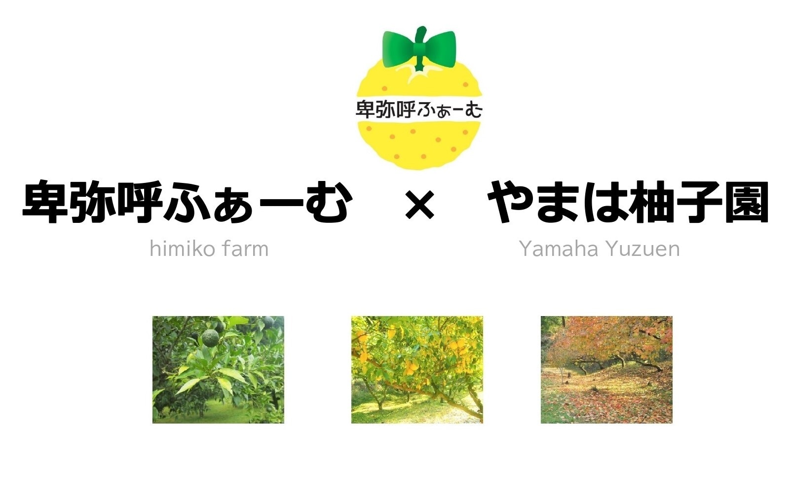 卑弥呼ふぁーむ  himiko farm