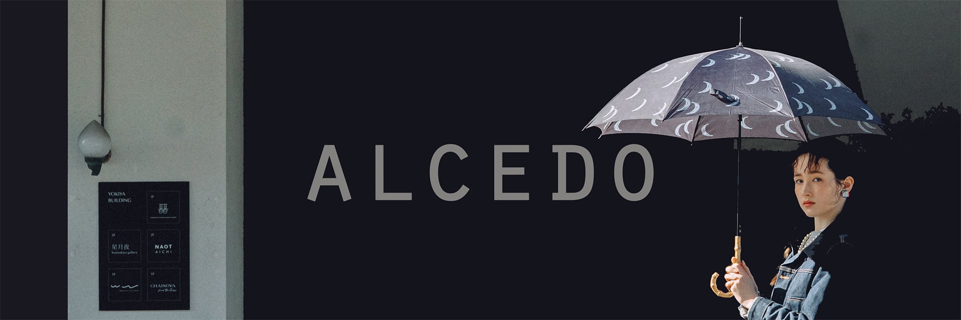 alcedojapan