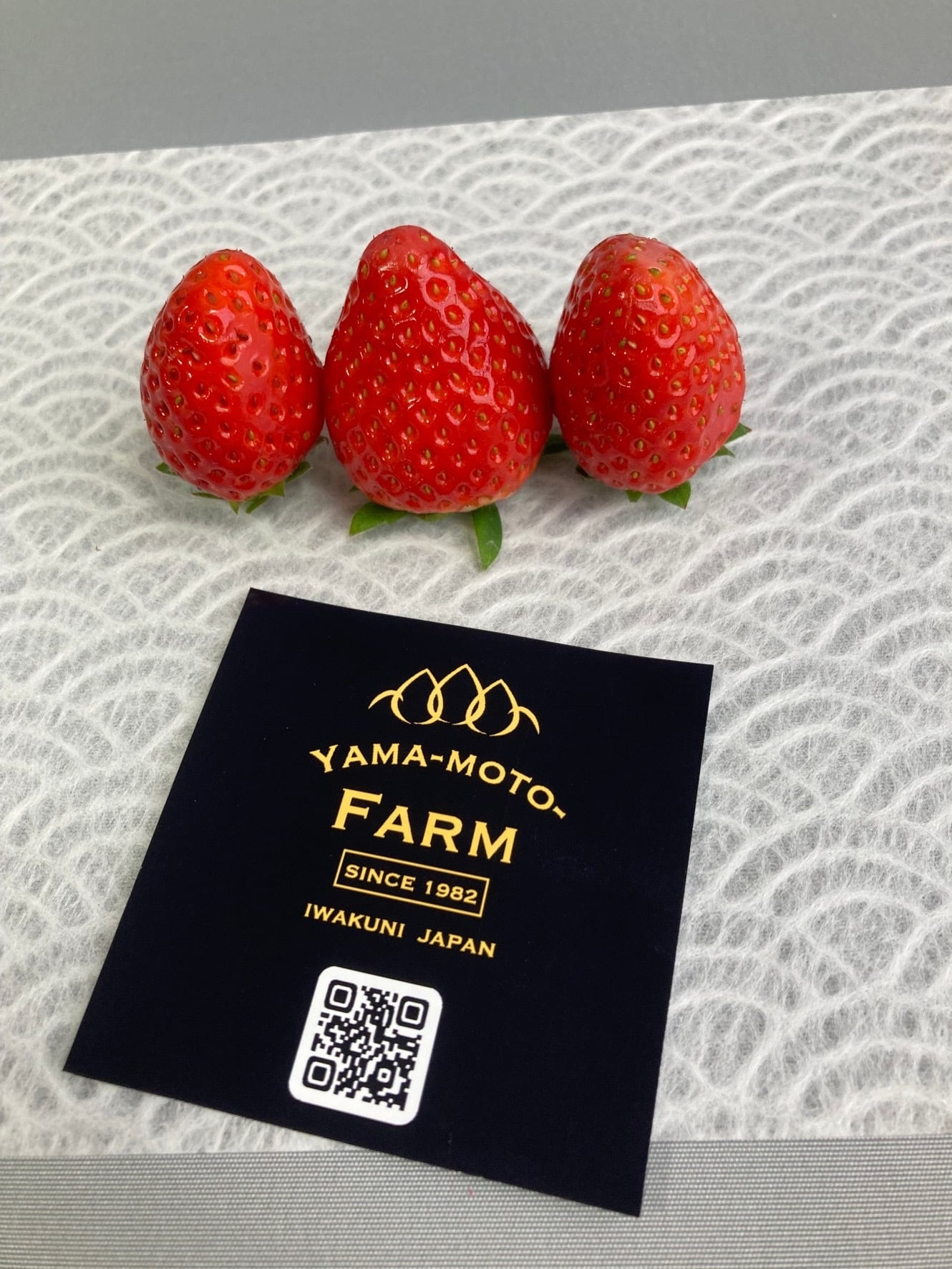 yama-moto-farm  いちご農園（岩国市）イチゴ　くり
