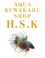 H.S.K PROJECT  ネットショップ