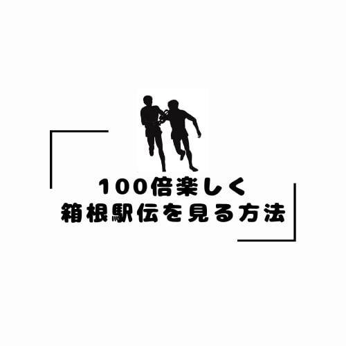 100倍楽しく箱根駅伝を見る方法のお店