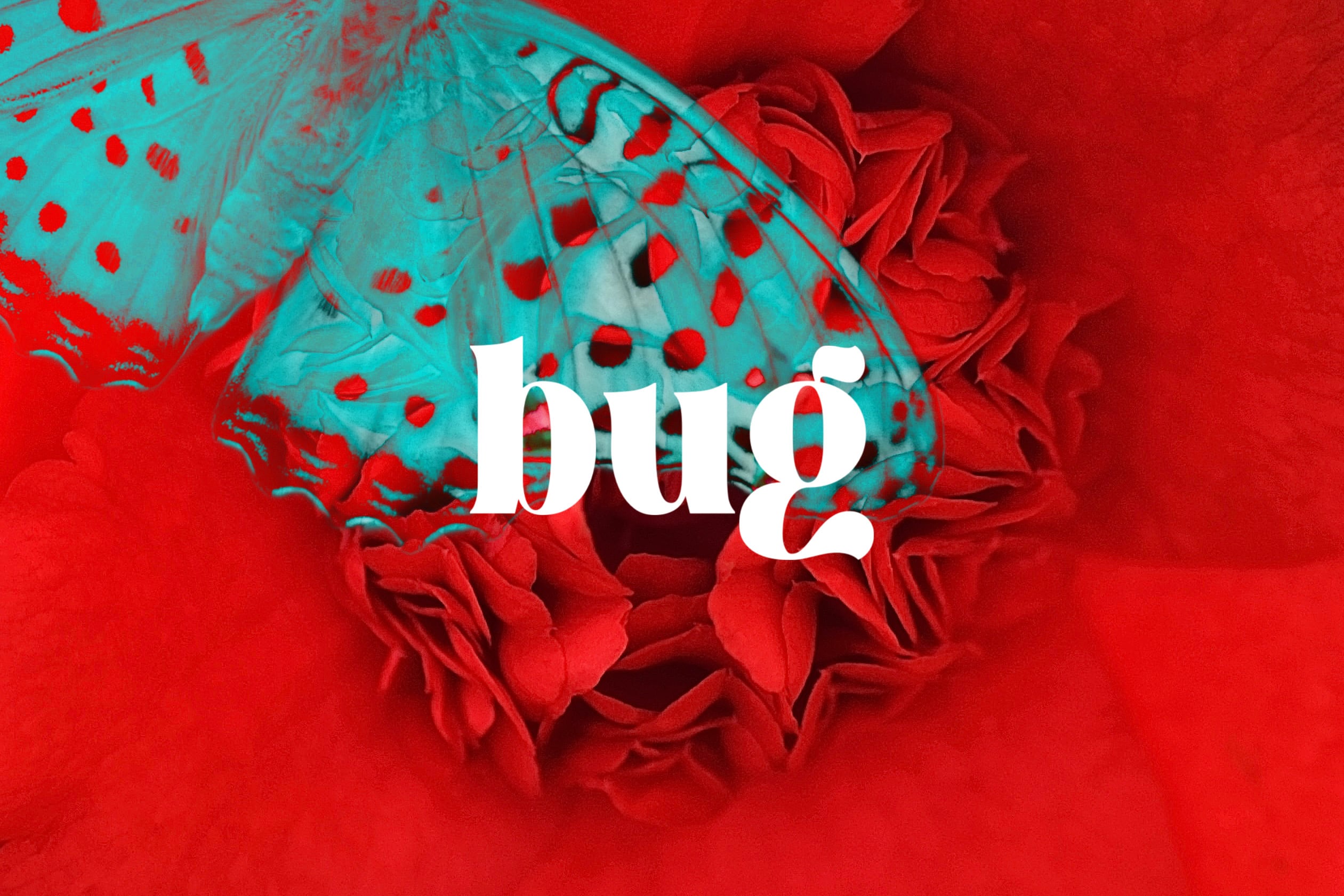 bug