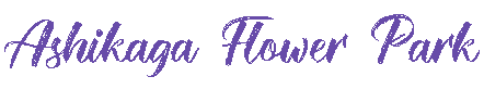 ashikagafp.theshop.jp