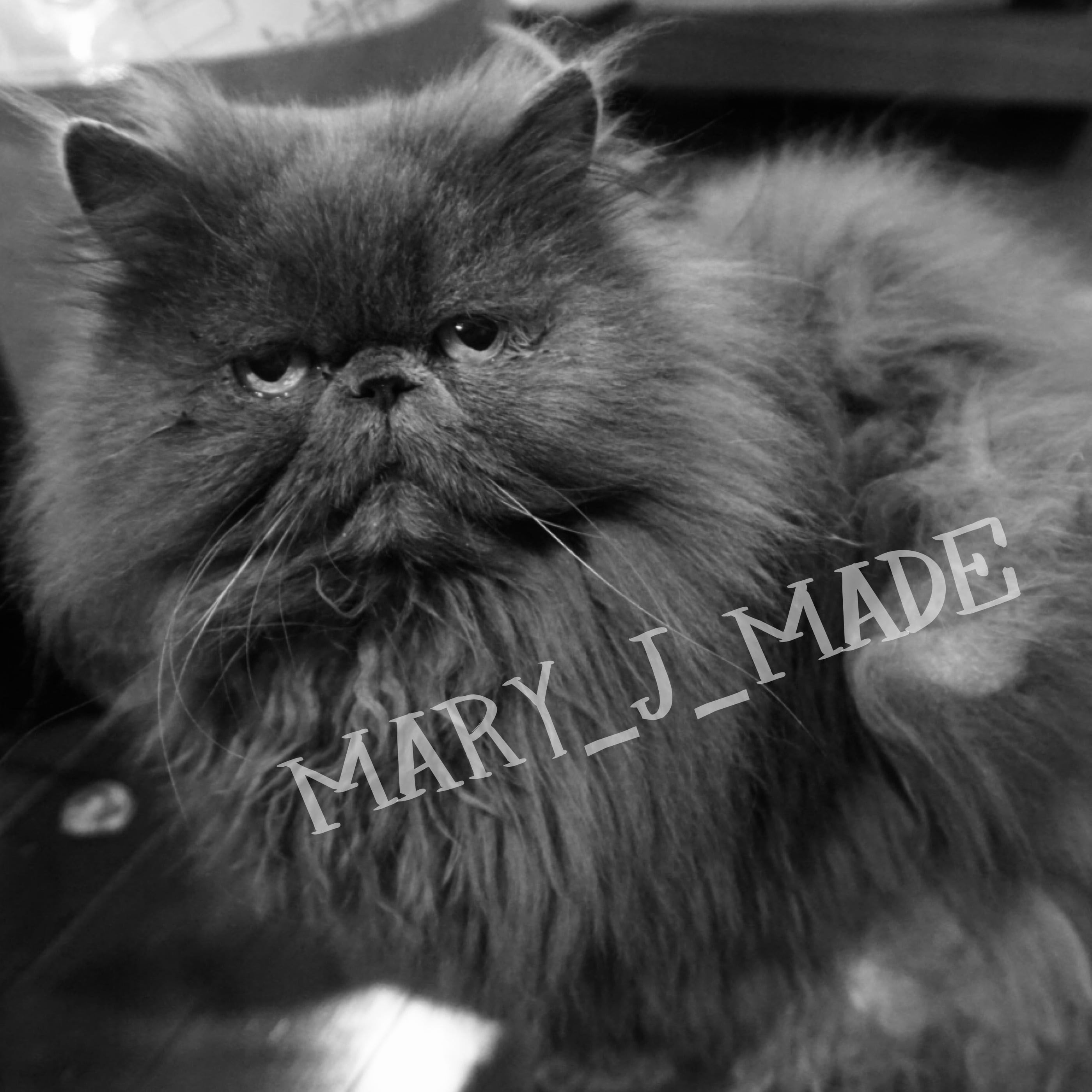 mary_j_made