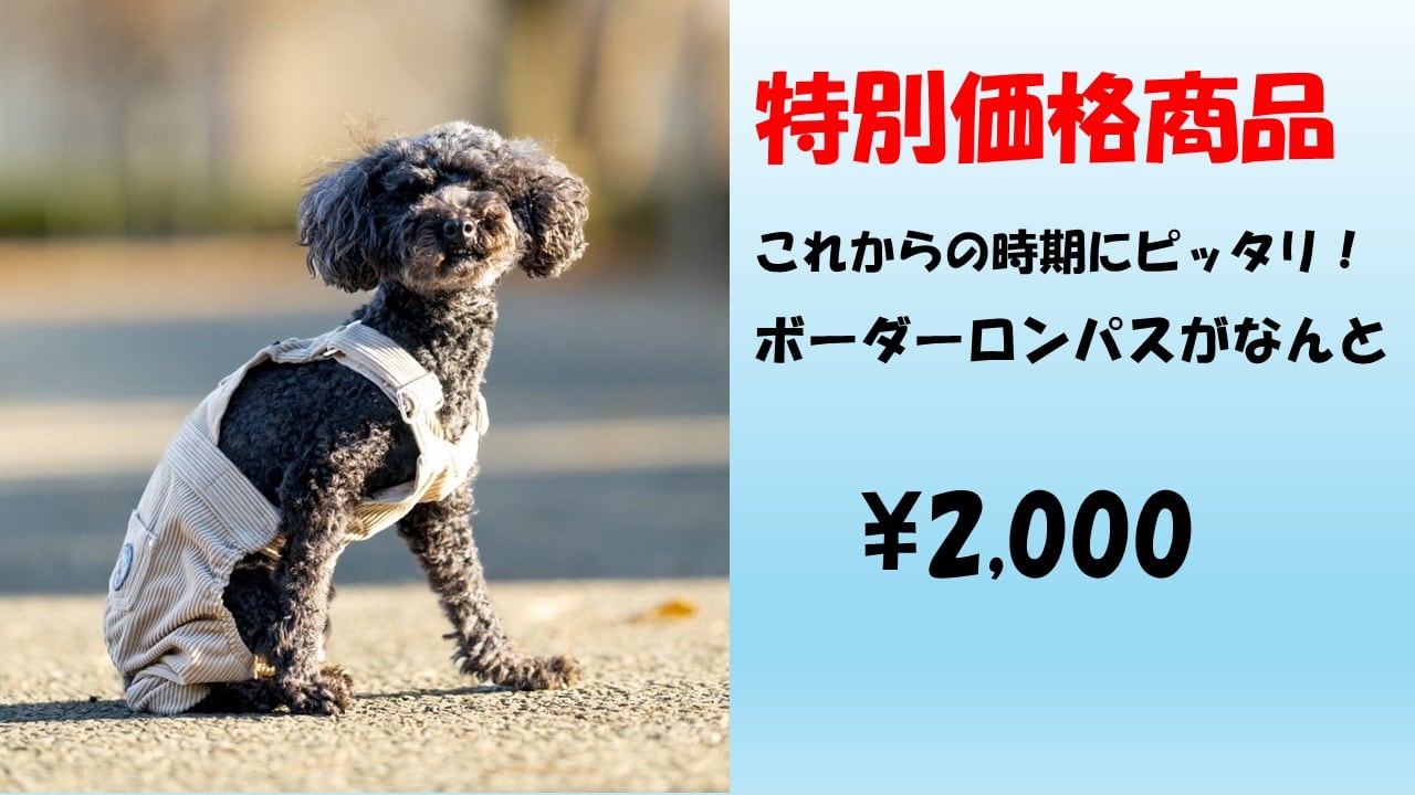 Pasear Jeans