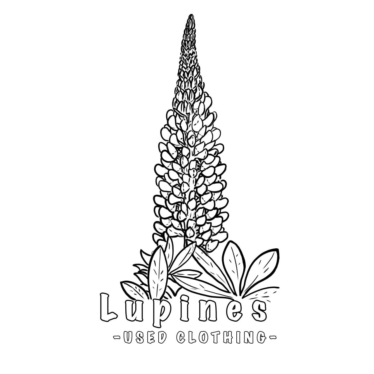Lupines used store