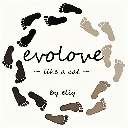 evolove　～eliyのあしなか～