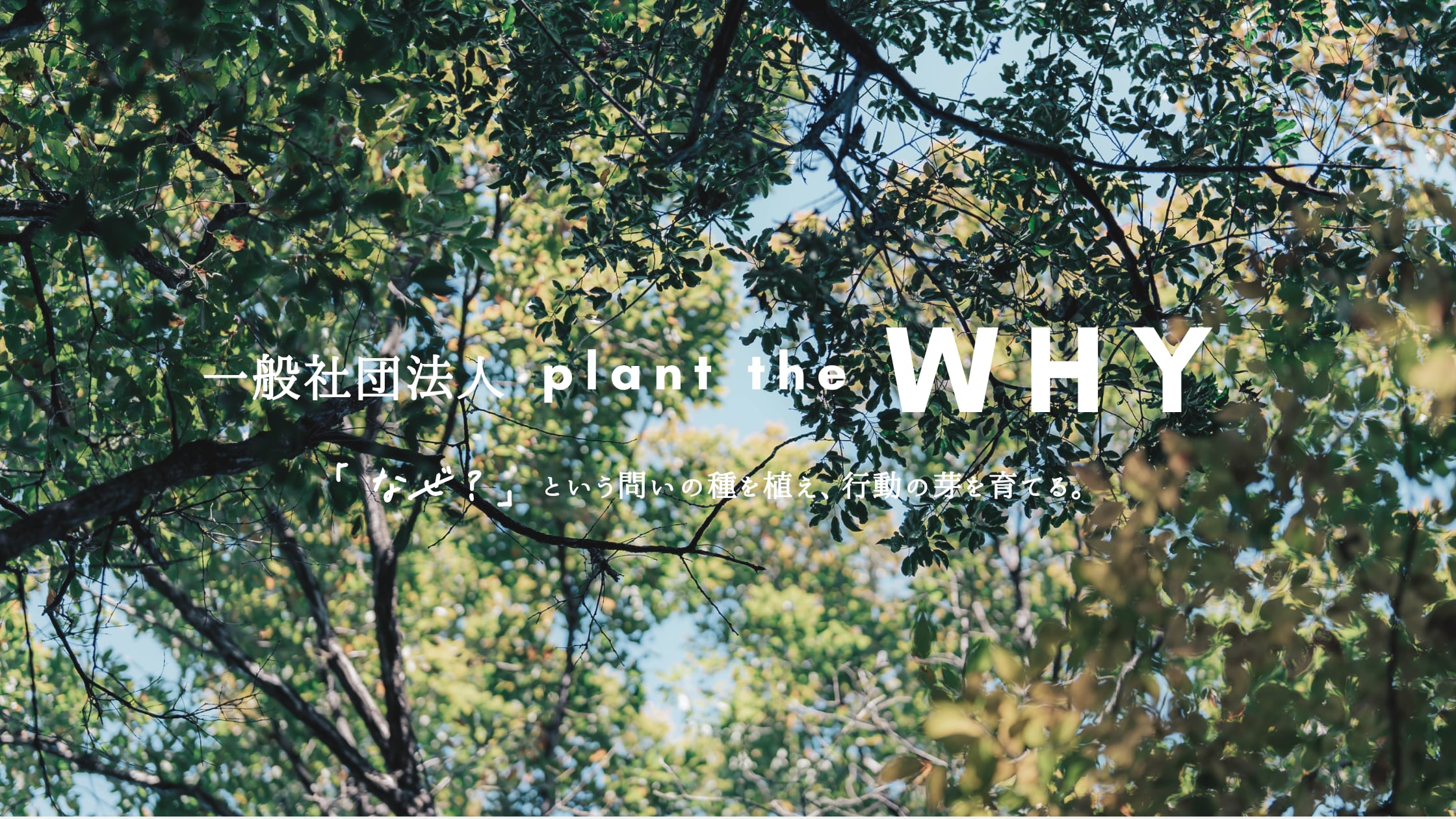 一般社団法人 plant the WHY