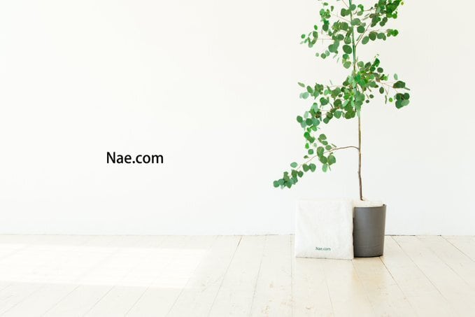 Nae.com
