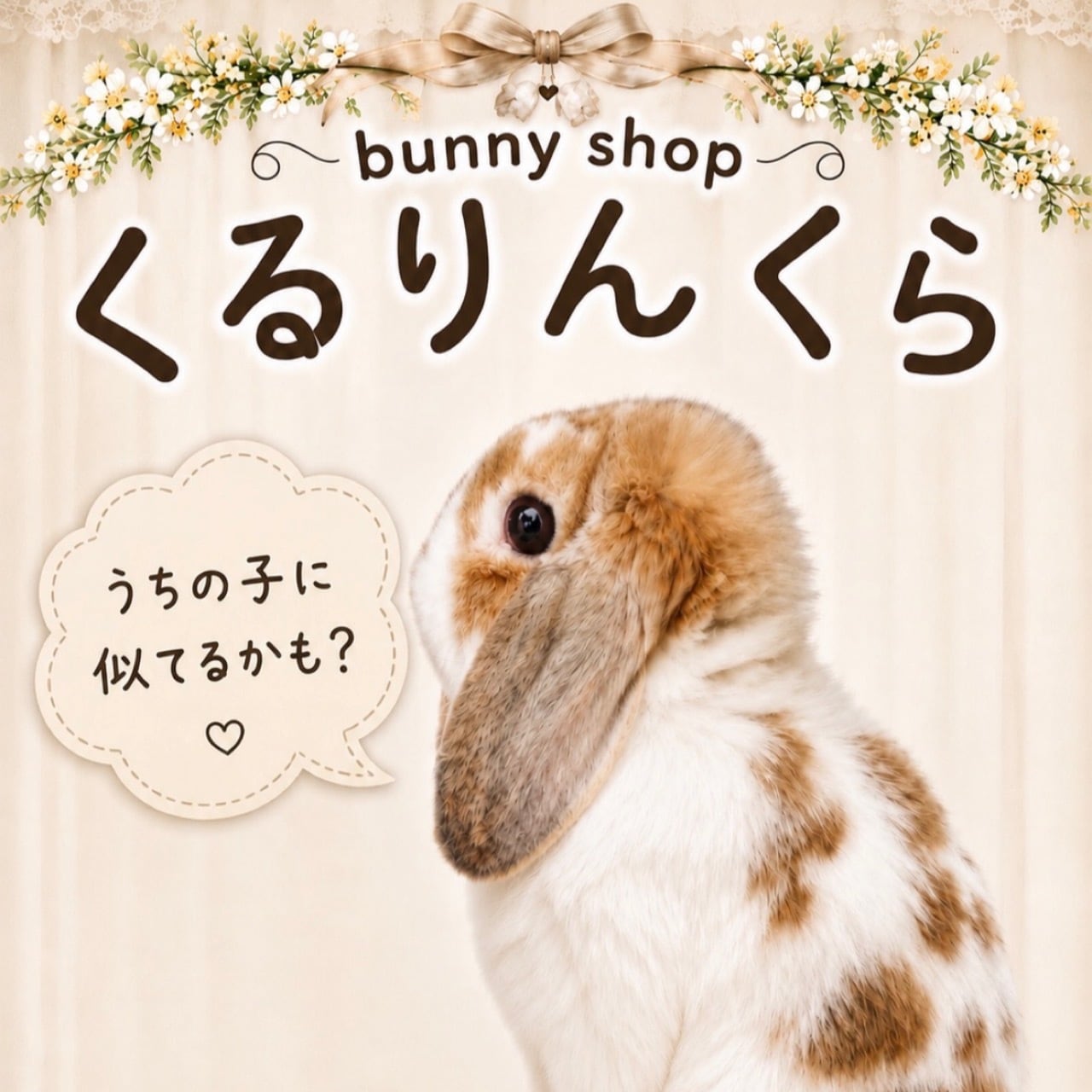 bunny shopくるりんくら