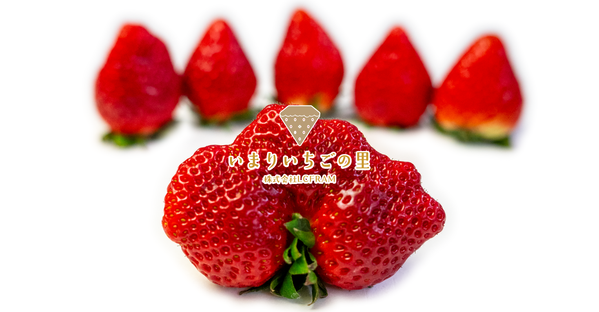 いまりいちごの里-LCFARM