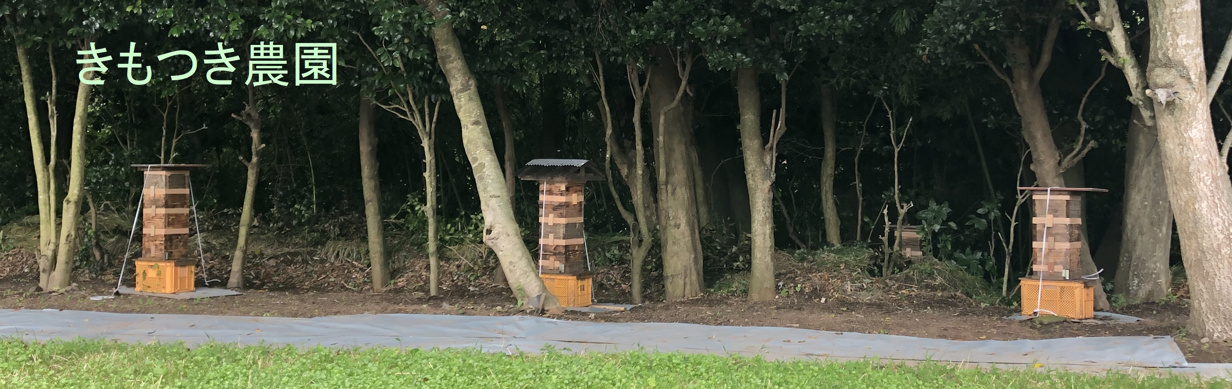 きもつき農園