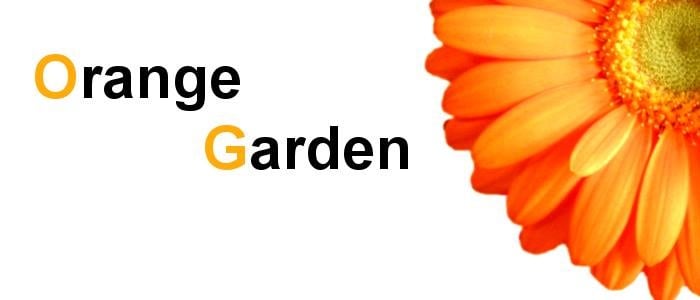 Orange Garden