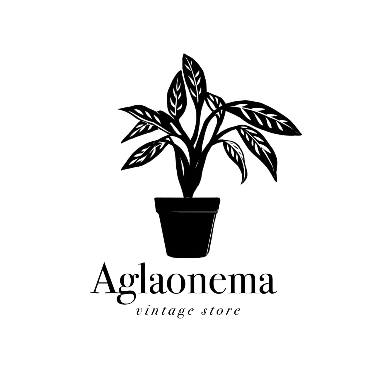 Aglaonema