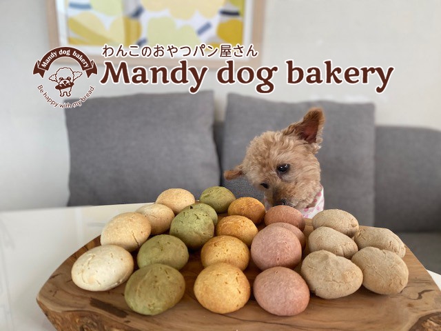 Mandy dog bakery