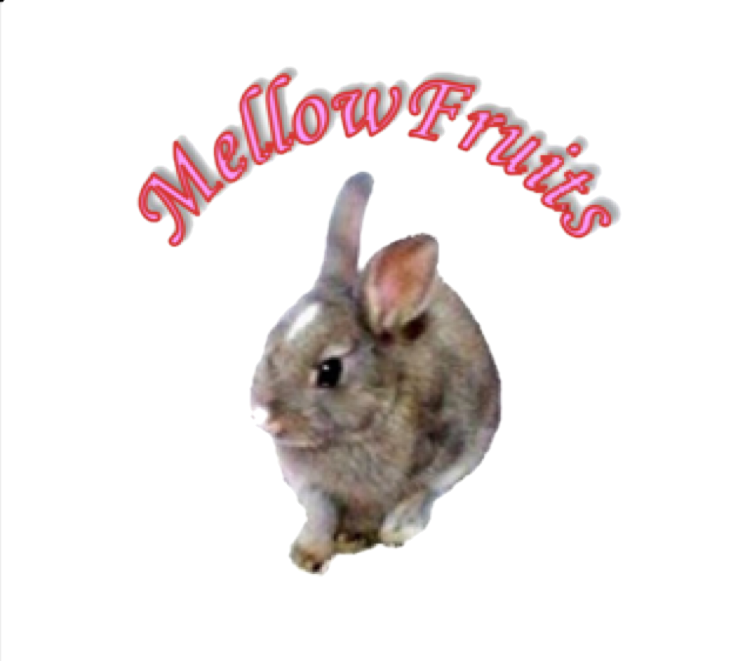 MellowFruits