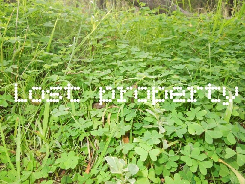 lost property
