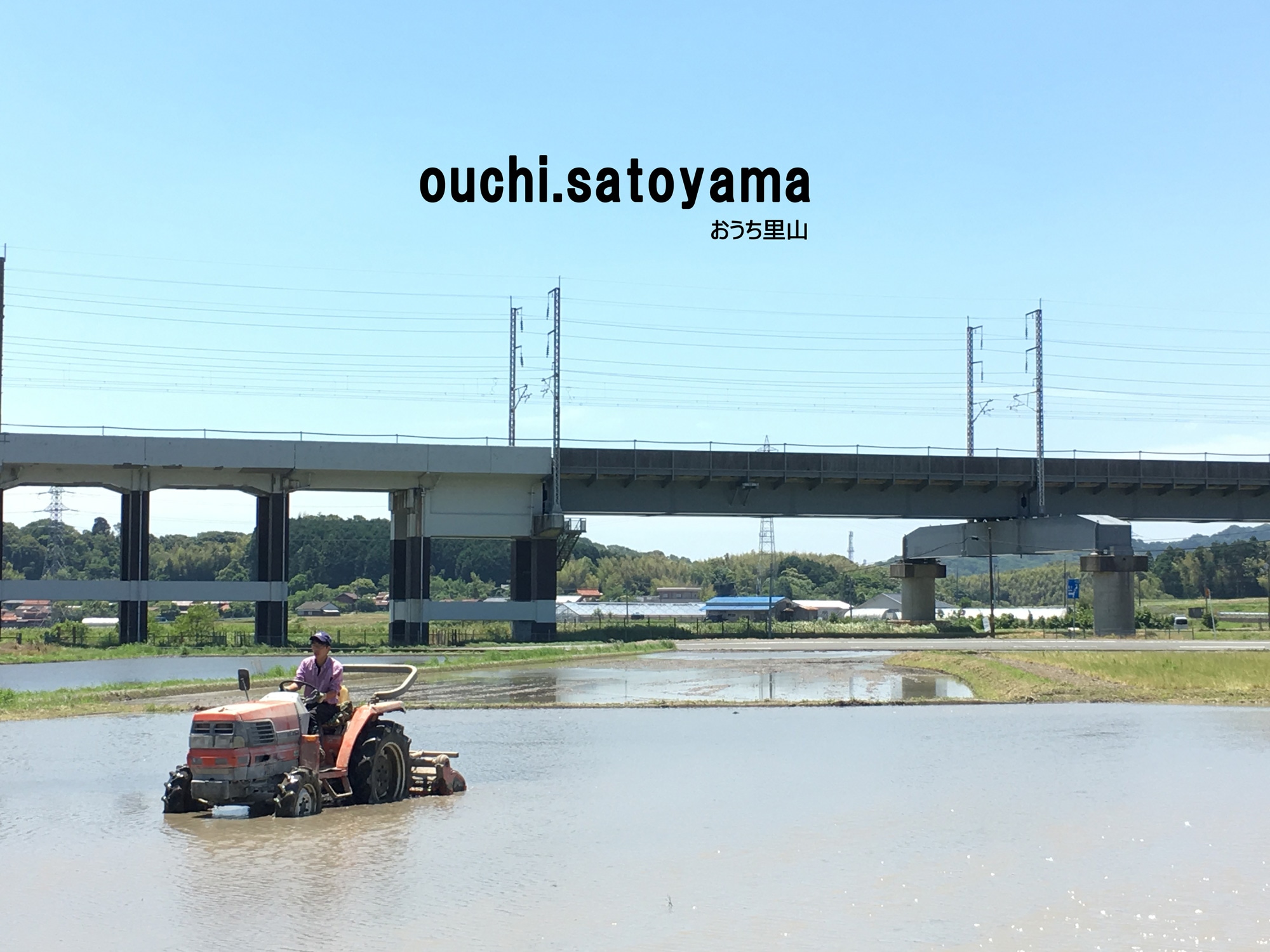 おうち里山