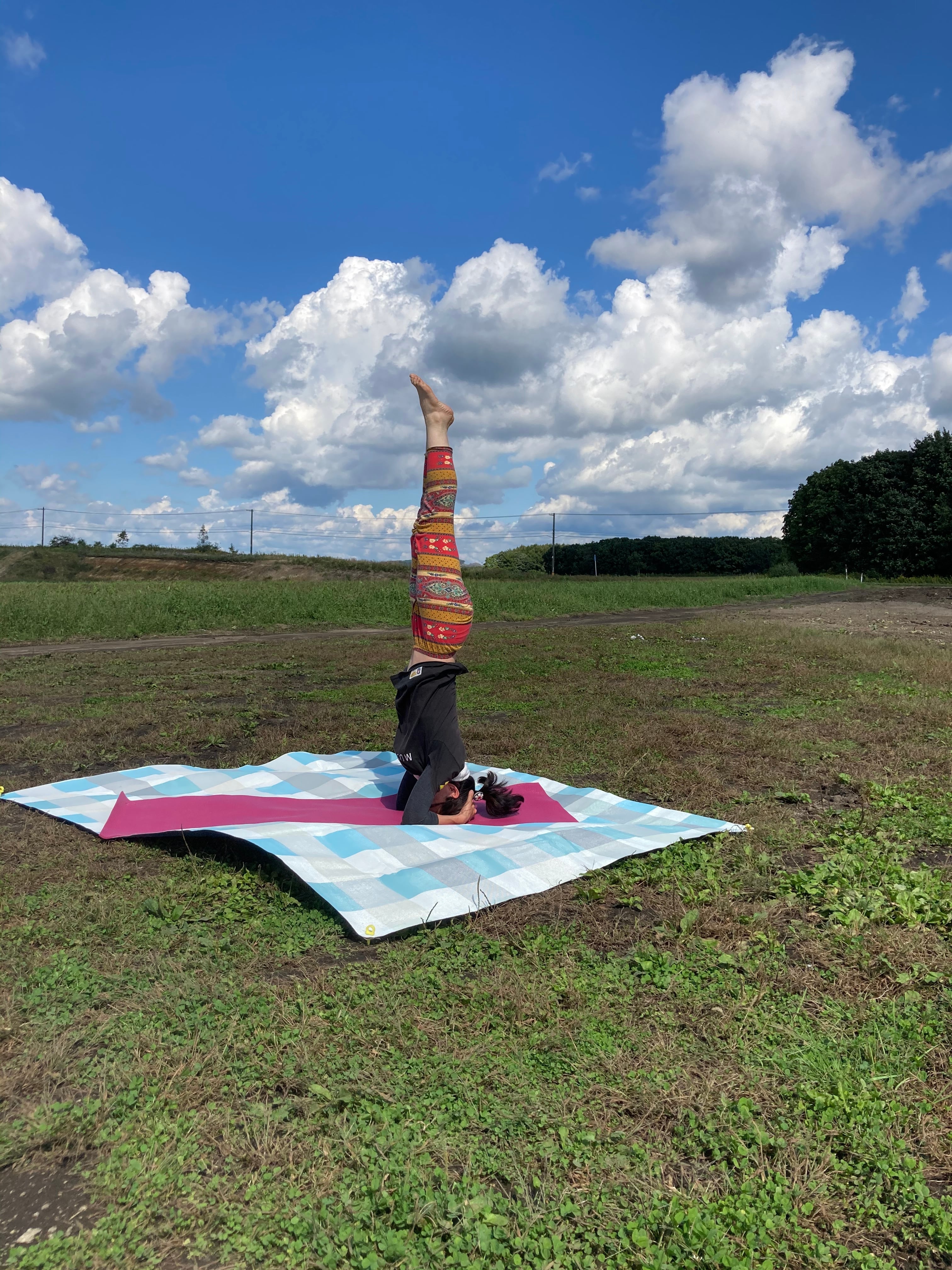 だるまyoga