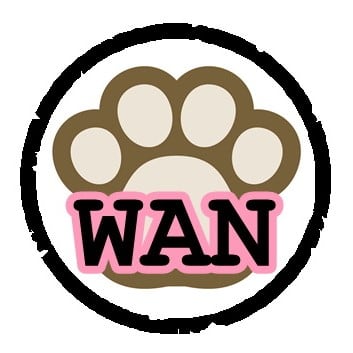 N0,WAN