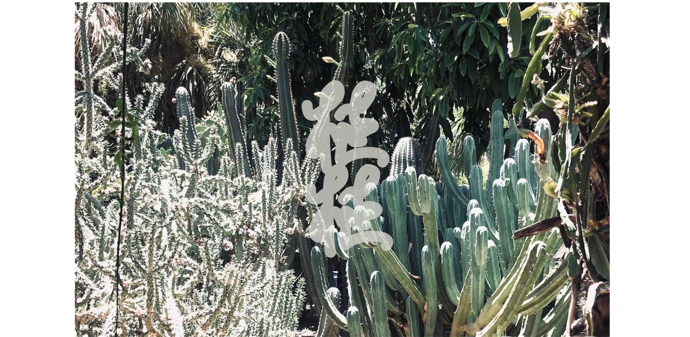 植田植物園