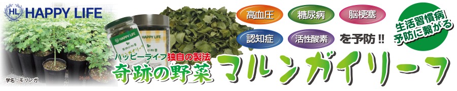 奇跡の野菜「マルンガイ」WEB販売