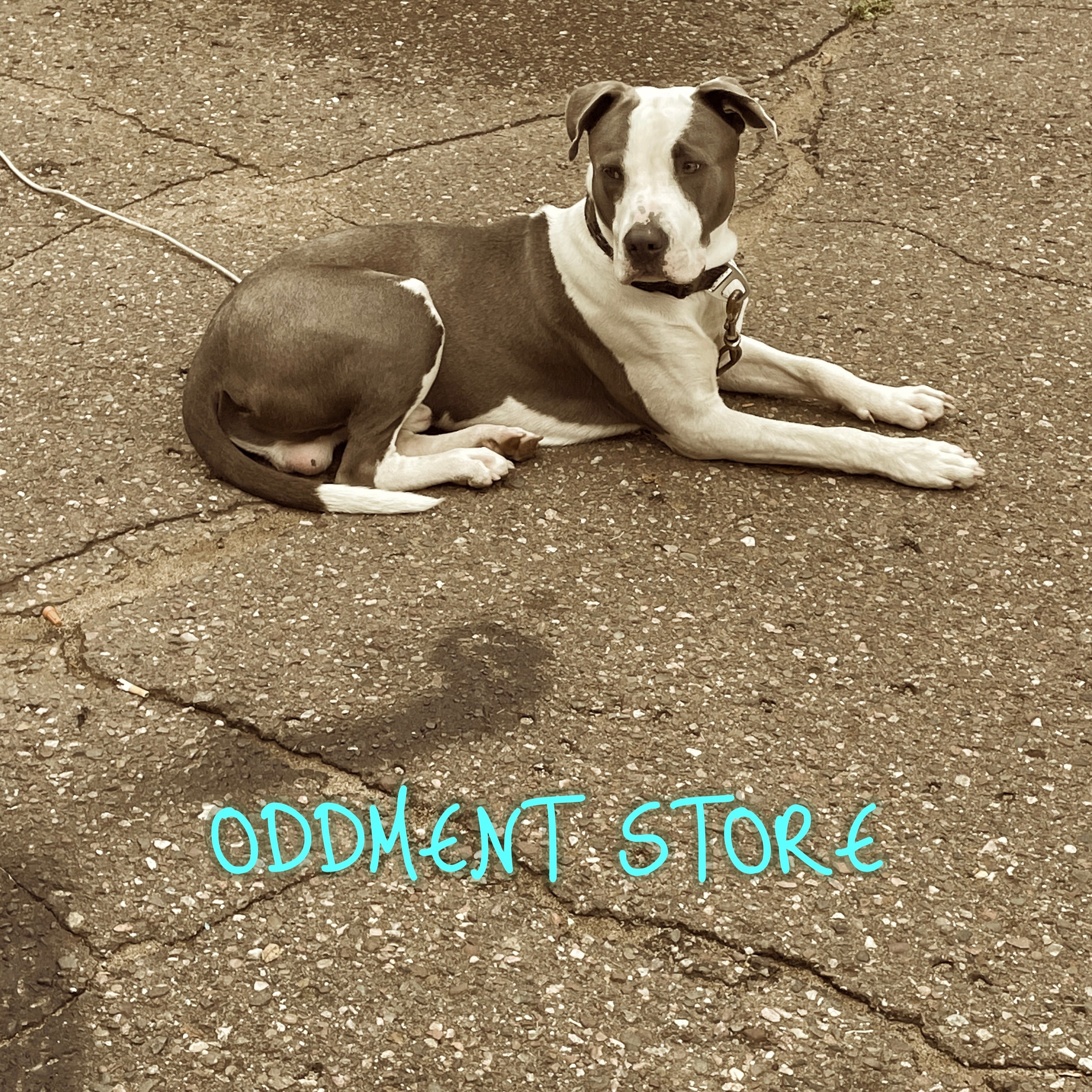 oddment store   /vintage・antique・vintage・leather shoes